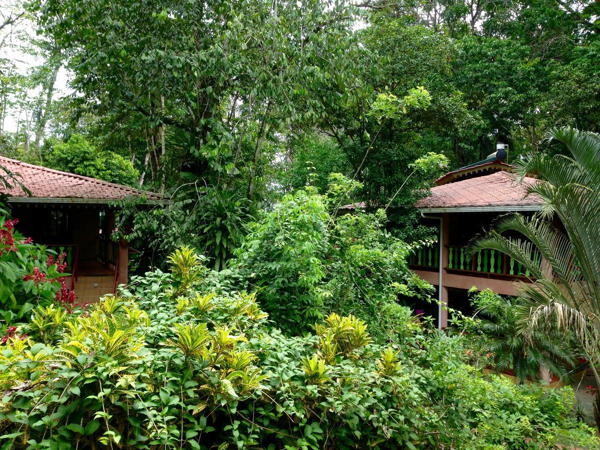 The Goddess Garden Eco-Resort Cahuita Exterior photo