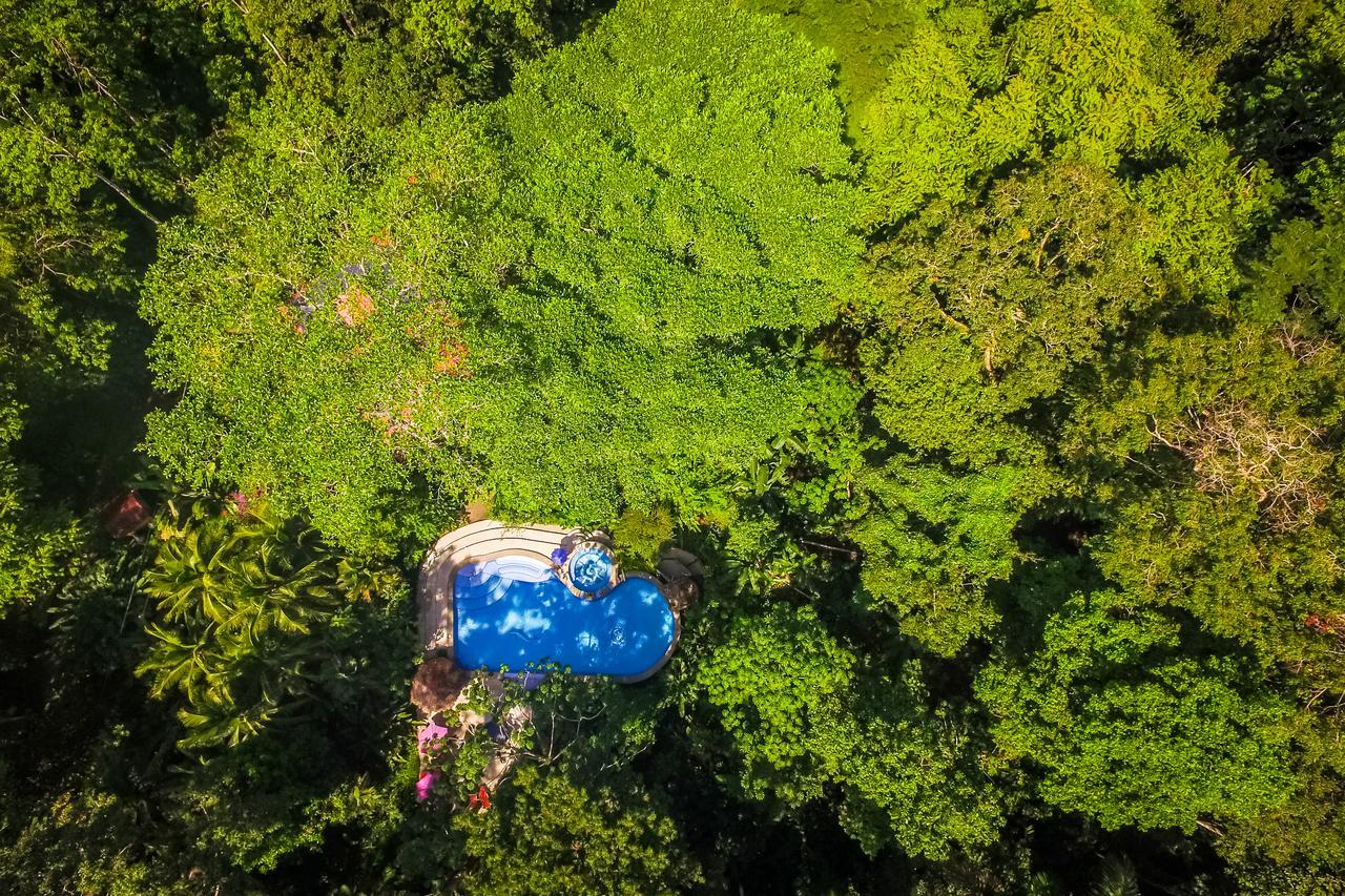The Goddess Garden Eco-Resort Cahuita Exterior photo